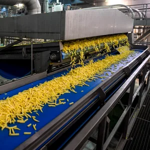 Eine Pommes-Fabrik des kanadischen Herstellers McCain