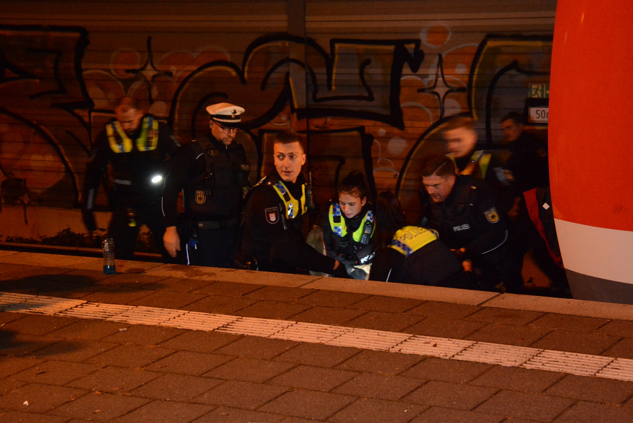 Beamte der Hamburger Polizei und der Bundespolizei helfen der jungen Frau aus dem Gleisbereich am S-Bahnhof Nettelnburg.