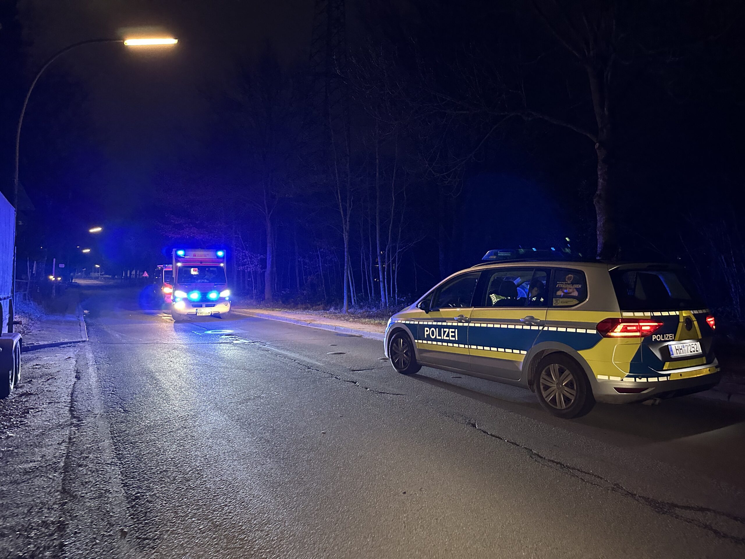 Ein Polizei- und ein Rettungswagen stehen auf der Straße.