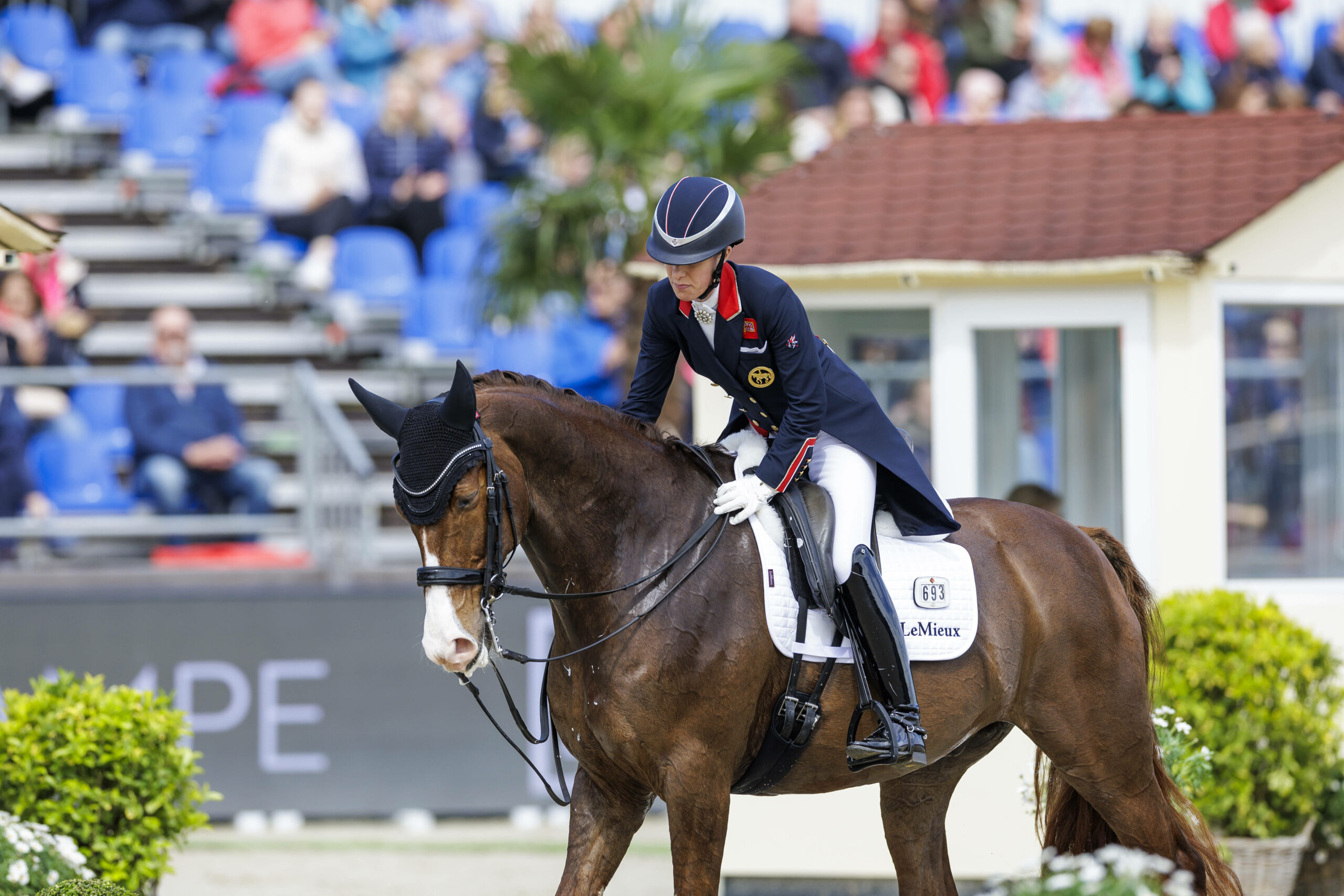 Charlotte Dujardin auf dem Pferd