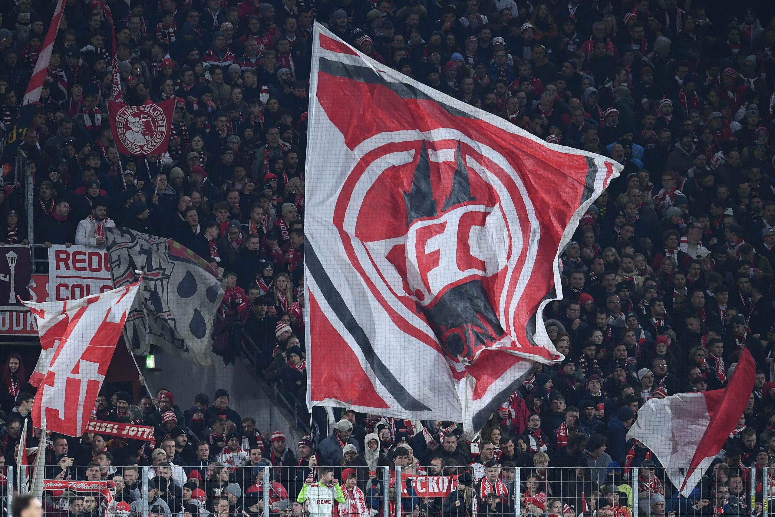 1. FC Köln Fans