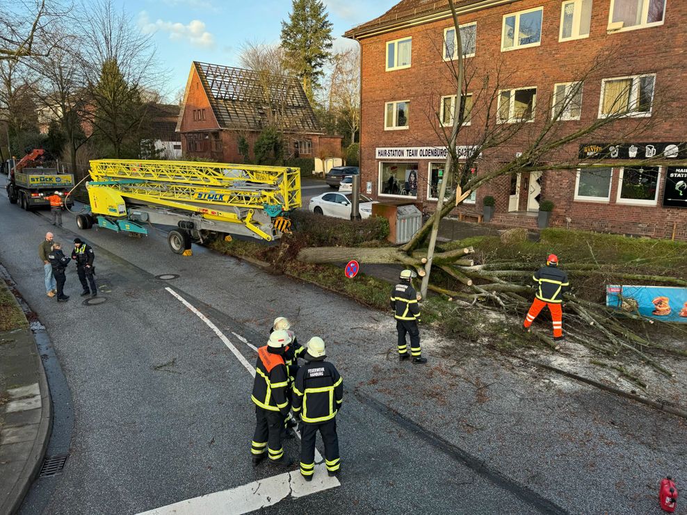 Der Baum wurde beim Rangieren des Baukrans getroffen und stürzte um.