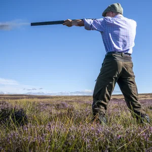 Jagd mit Schrotgewehr (Symbolbild).