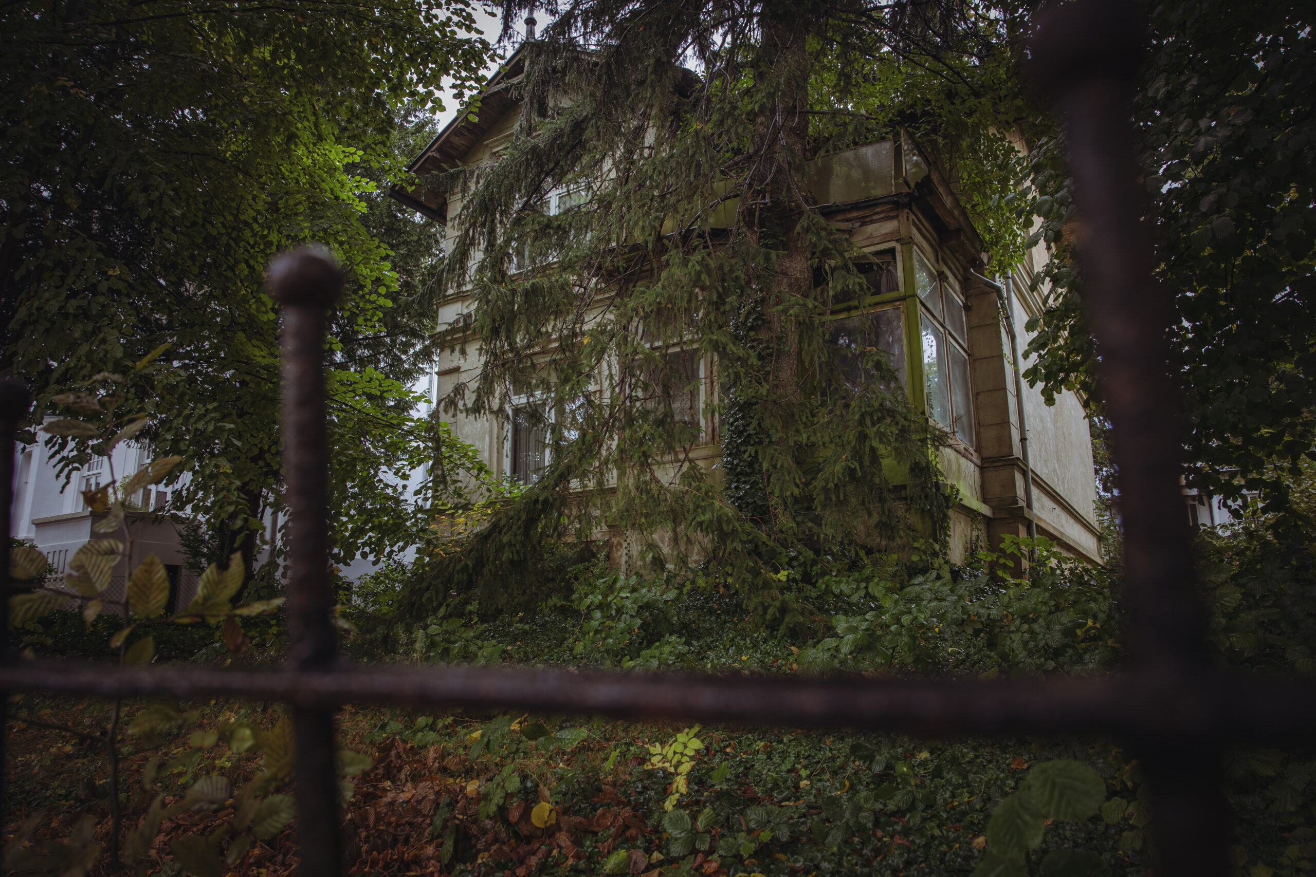 Die Villa Neuding 7 in Groß Flottbek unweit der Waitzstraße gleicht heute einem „Hexenhaus“