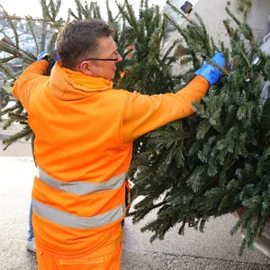 Hamburg: SRH-Mitarbeiter mit Weihnachtsbaum