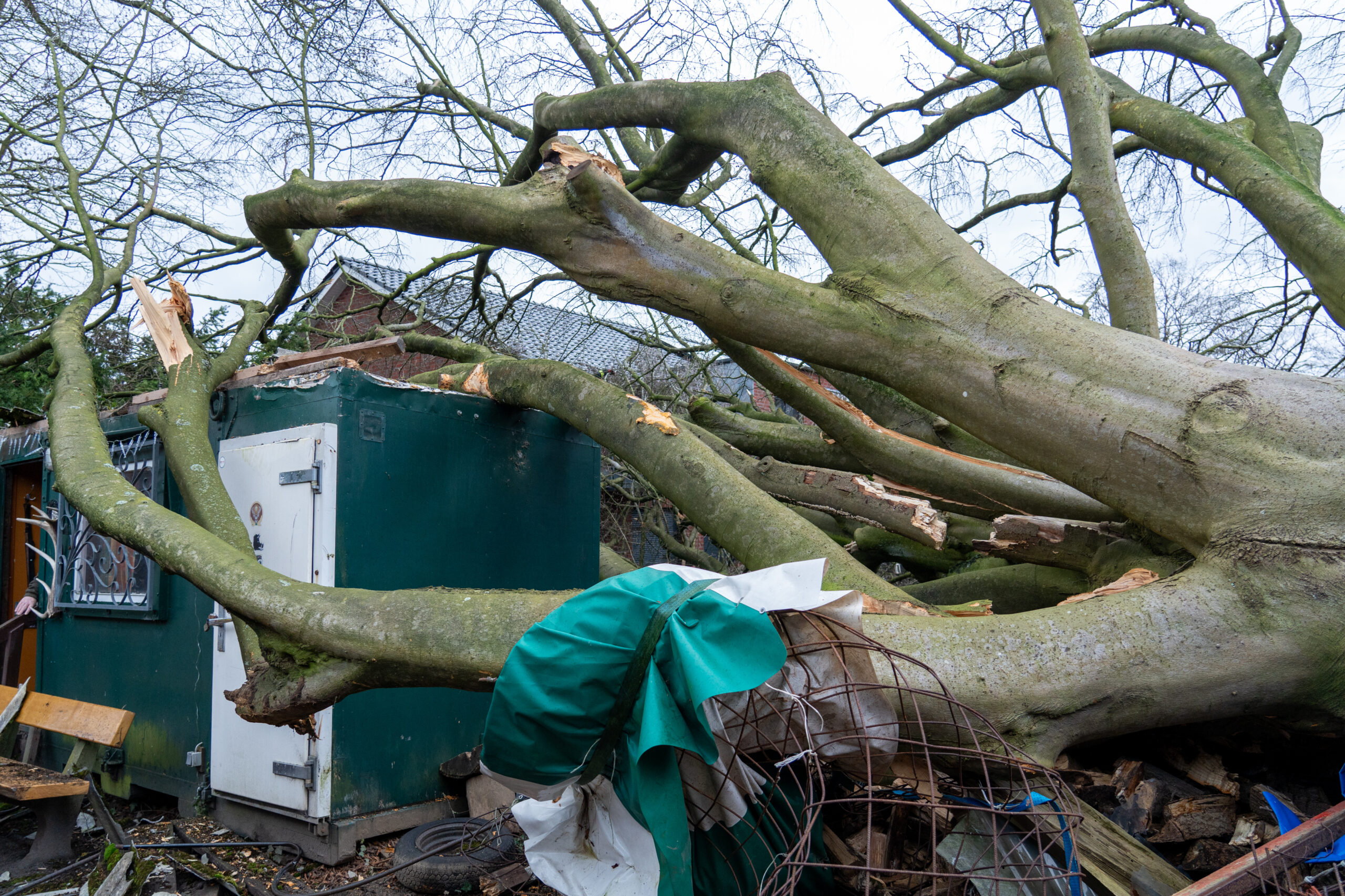 Im Landkreis Harburg ist ein Baum auf ein Mehrfamilienhaus gestürzt.