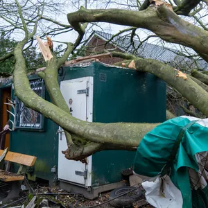 Im Landkreis Harburg ist ein Baum auf ein Mehrfamilienhaus gestürzt.