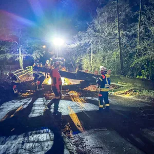 Der Sturm sorgte im Landkreis Harburg für zahlreiche Feuerwehreinsätze.