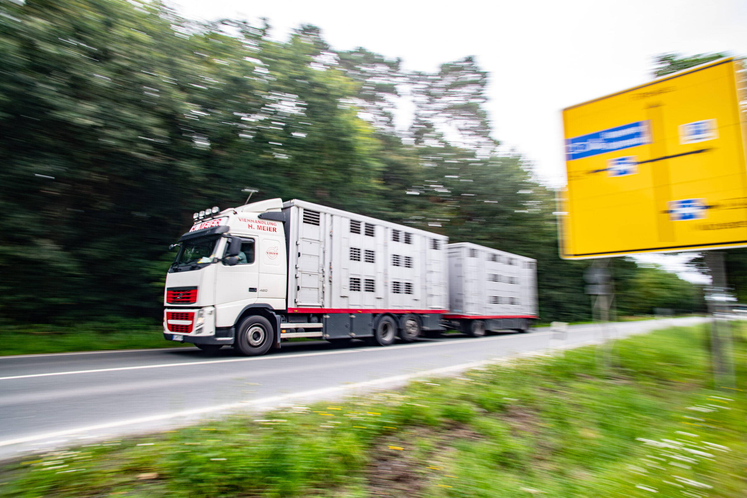 Ein Viehtransporter ist am Freitagabend bei Haselünne umgekippt. (Symbolbild)