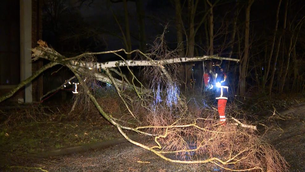 In Bahrenfeld ist eine große Birke abgebrochen und versperrt teilweise die Fahrbahn.