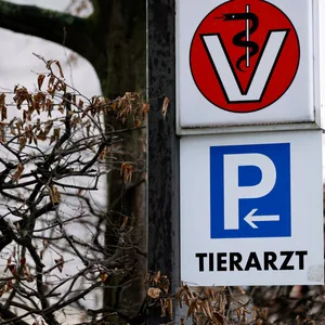 Einbruch bei Tierarzt in Iserbrook – Täter erbeuten medikamente – Plizei warnt