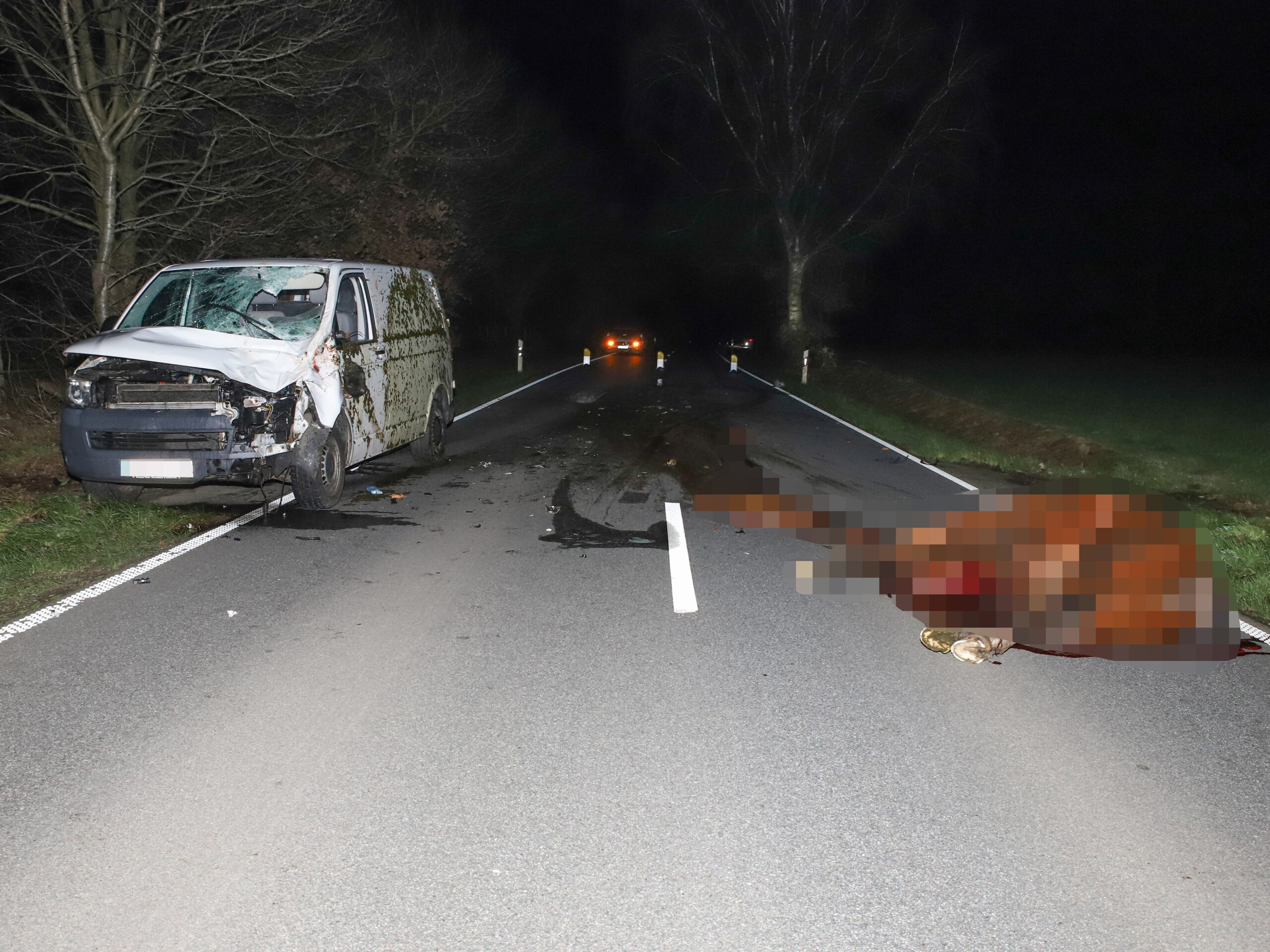 Das Pferd wurde bei dem Zusammenstoß mit dem VW T5 getötet.