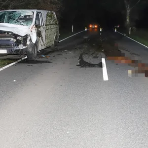 Das Pferd wurde bei dem Zusammenstoß mit dem VW T5 getötet.