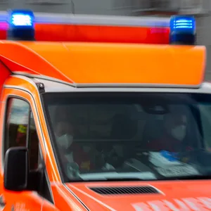 Kanu kentert - drei Personen fallen in eiskalte Elbe – Großalarm für den Rettungsdienst in Geesthacht
