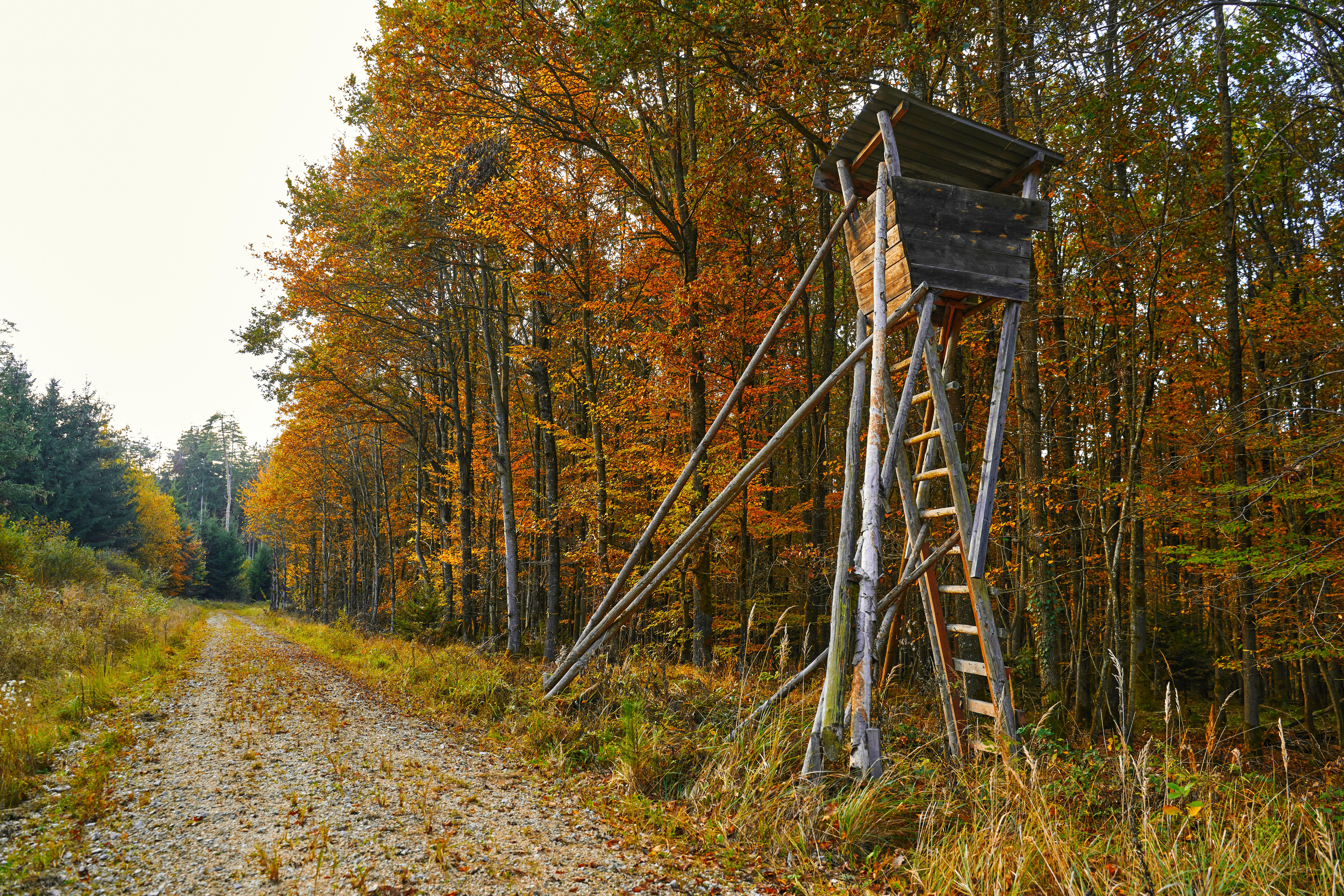 Jägerstand im Herbst