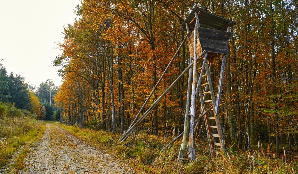 im-dunkeln-aus-gro-er-entfernung-j-ger-auf-hochsitz-erschossen