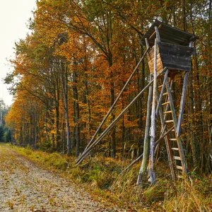 Jägerstand im Herbst