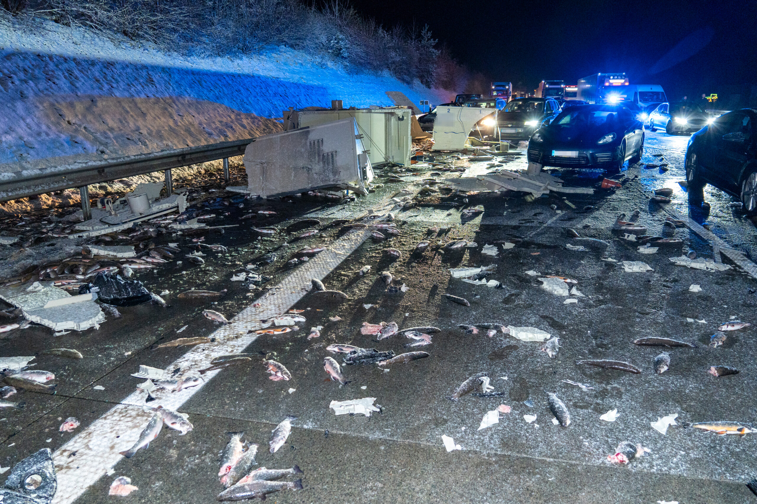 Tausende Fische verendeten auf der Fahrbahn der A1, nachdem ein Lastzug verunglückt war.