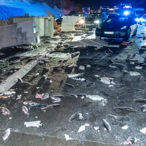 Tausende Fische verendeten auf der Fahrbahn der A1, nachdem ein Lastzug verunglückt war.