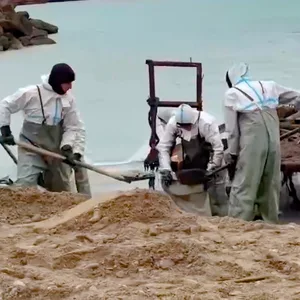 Aufräumarbeiten am Meer