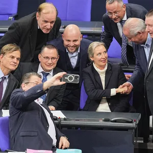 Die AfD-Fraktion feiert das Abstimmungsergebnis für eine Verschärfung der Migrationspolitik.