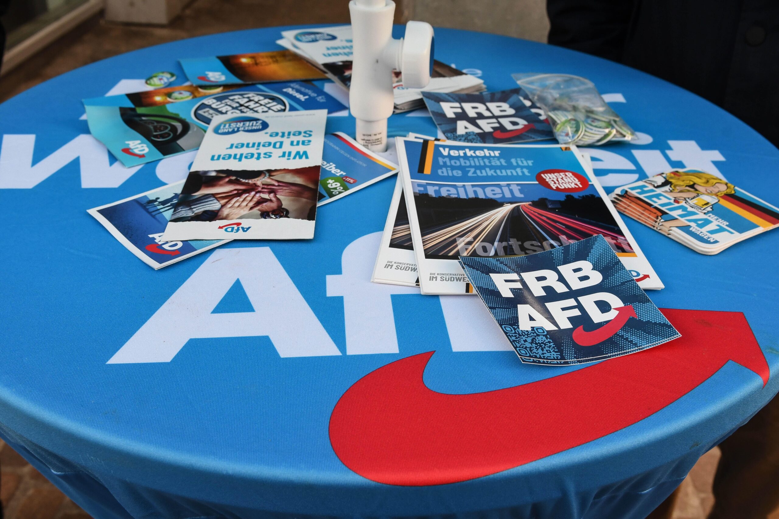 Ein Stand der AfD (Symbolbild).