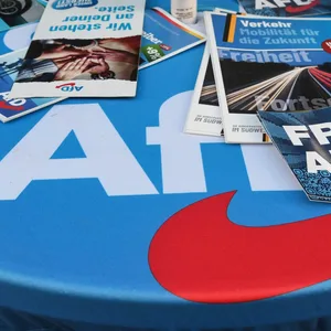 Ein Stand der AfD (Symbolbild).