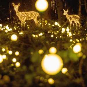 Lumagica Wildpark