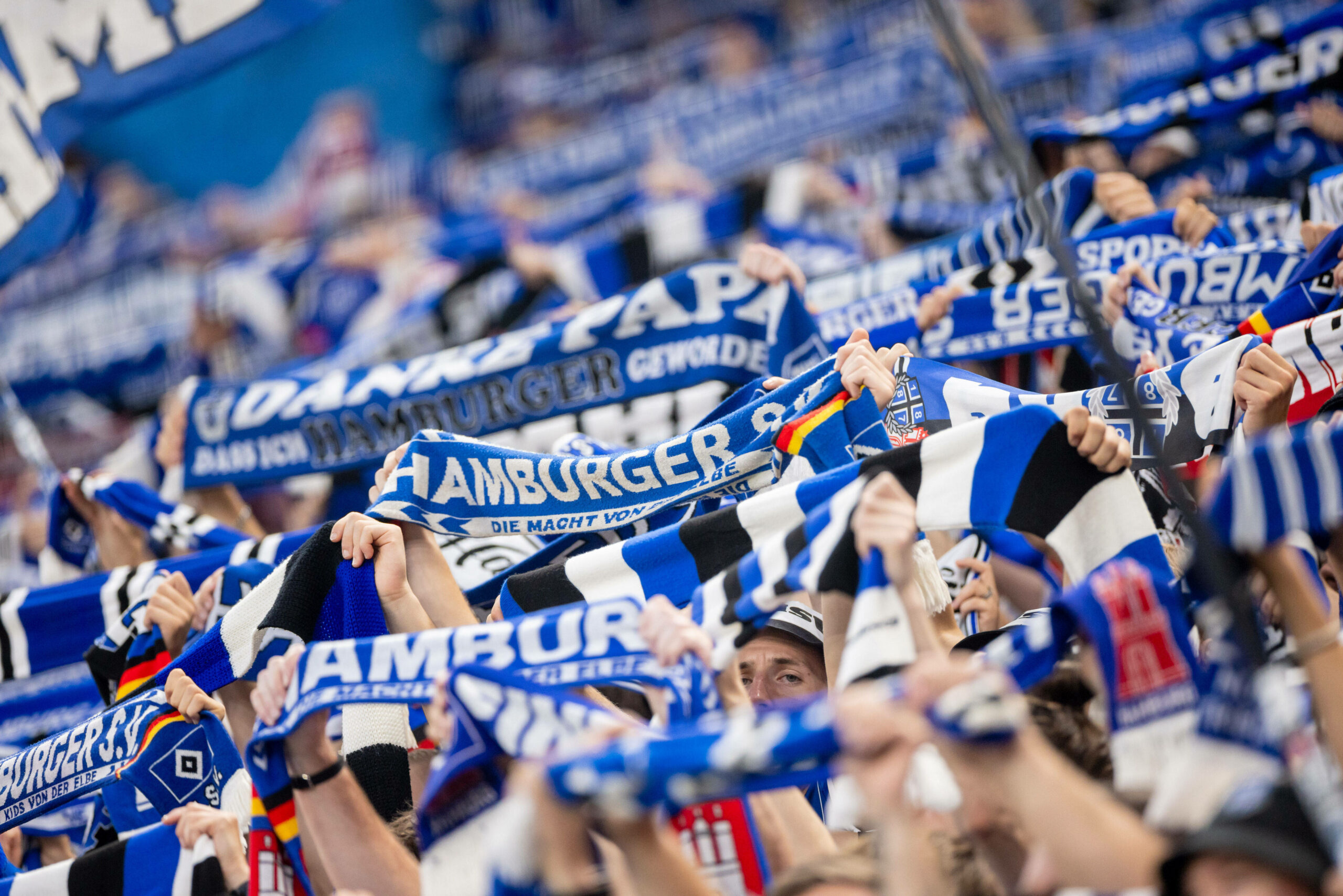 HSV-Fans