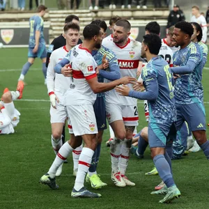 Rudelbildung mit VfB-Spielern und Ajax-Spielern