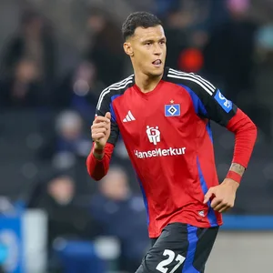 Davie Selke traf in dieser Zweitligasaison bereits elf Mal für den HSV.