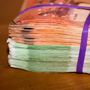 Ein Kind fand 15.000 Euro in einem Pflanzenbeet (Symbolfoto).