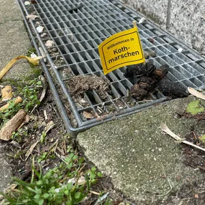 Mit solchen Fähnchen protestiert ein Unbekannter gegen die Hinterlassenschaften von Hunden.