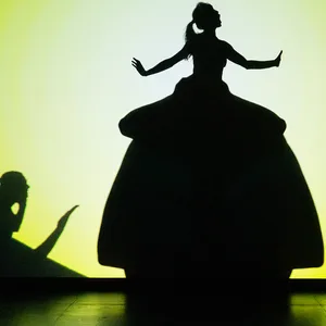 Ein Schattenbild zeigt eine Frau in großem Ballkleid.