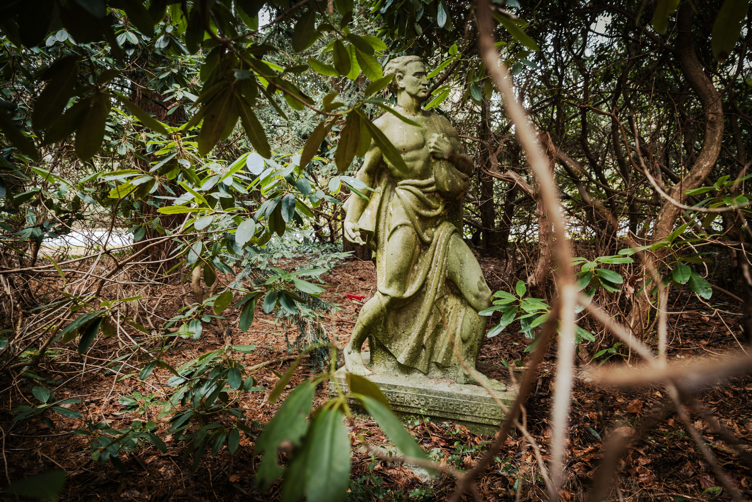 Eine Männer-Statue steht versteckt hinter Rhododendron