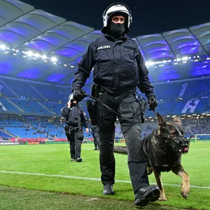 Ein Beamter mit einem Polizeihund im Volksparkstadion