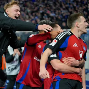 Die HSV Spieler jubeln