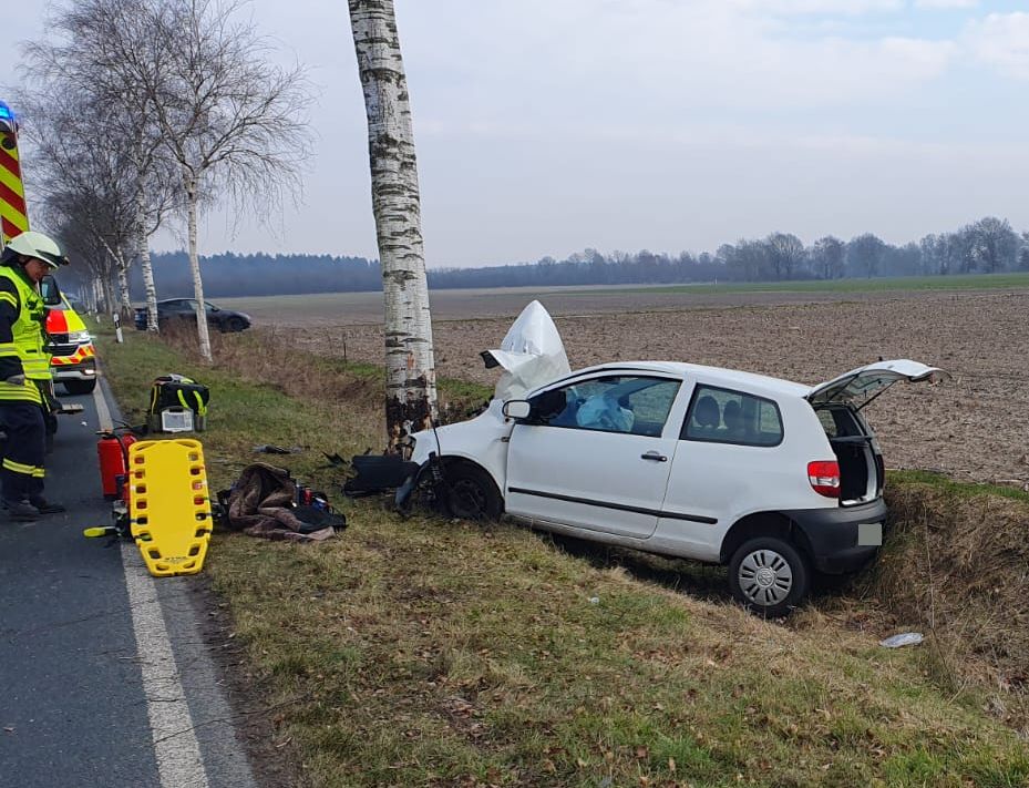 VW Fox am Baum Sauensiek