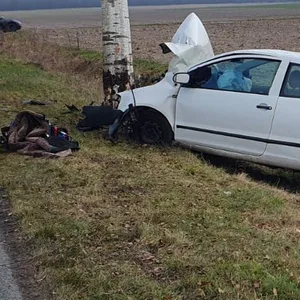 VW Fox am Baum Sauensiek