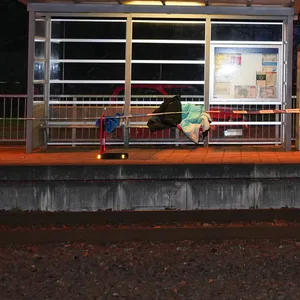 Bahnhof Hodenhagen