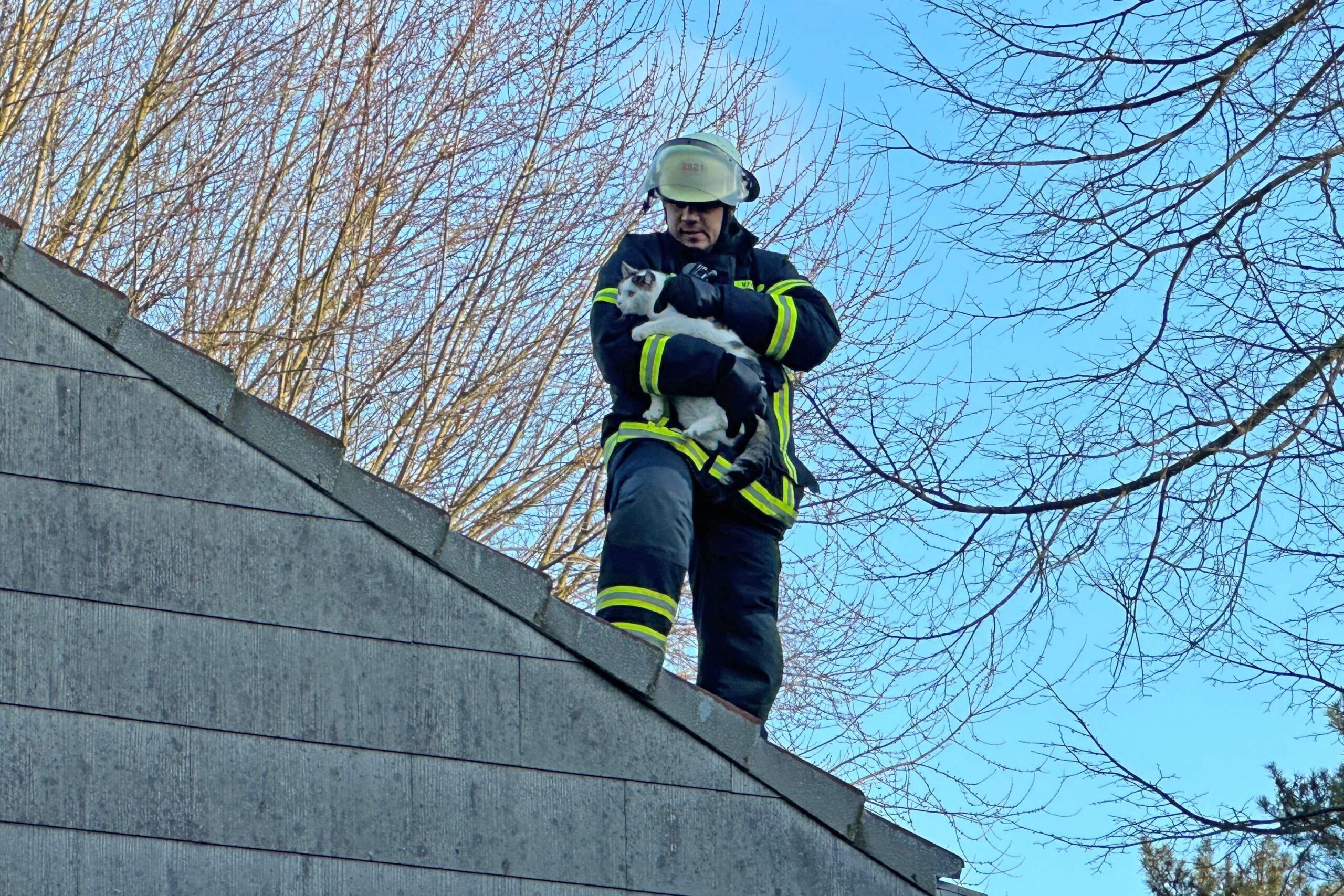 Ein Feuerwehrmann mit dem geretteten Kater Sammy im Arm.