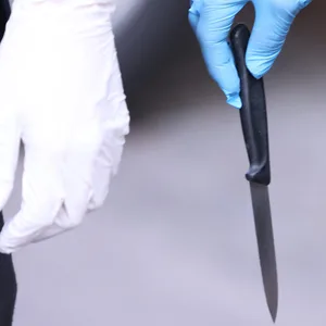 Seniorin in Geesthacht mit Messer angegriffen und lebensgefährlich verletzt. Psychisch kranker Täter stellt sich der Polizei