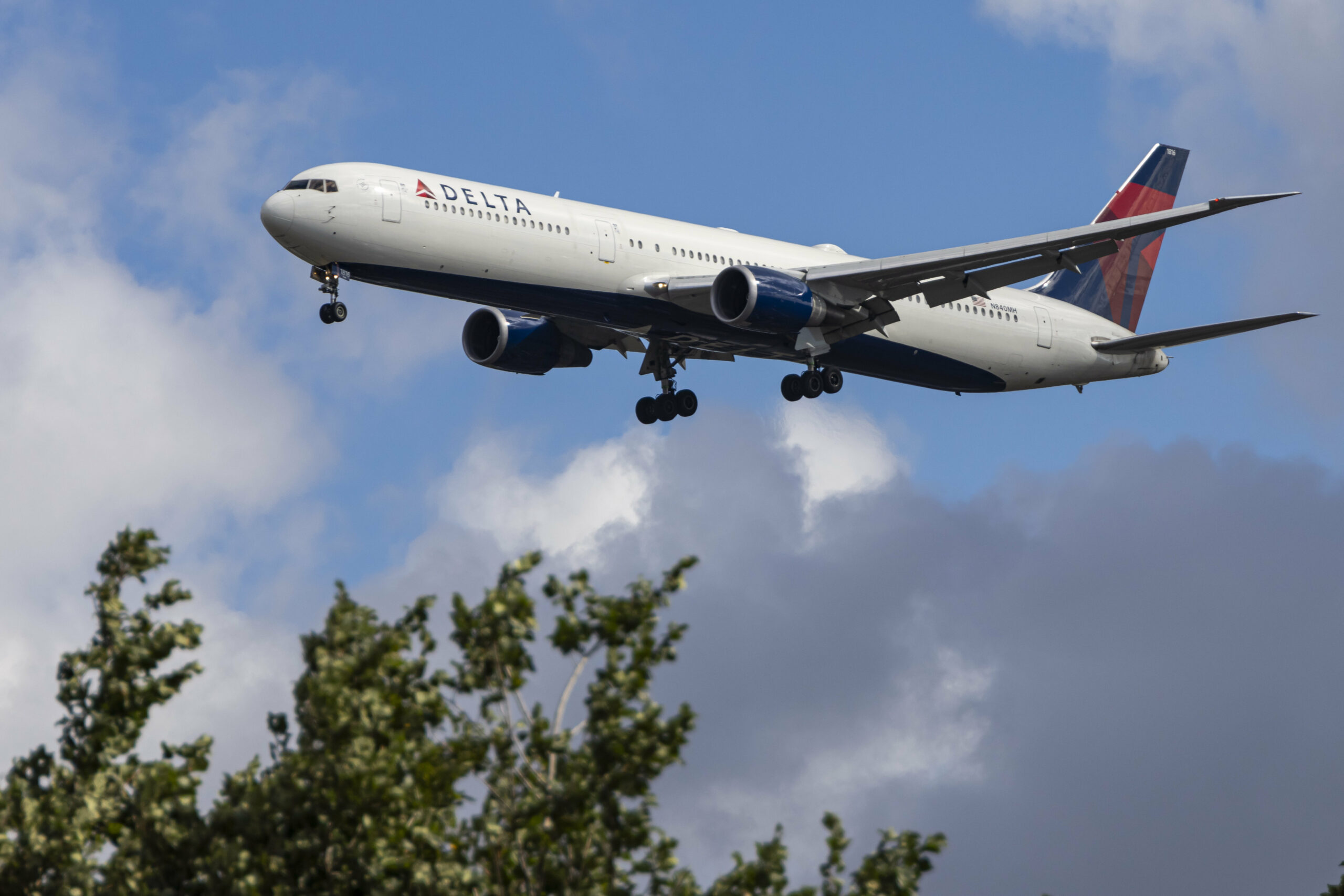 Ein Flugzeug der Delta Air Lines fliegt über Baumkronen hinweg.