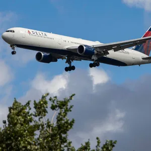Ein Flugzeug der Delta Air Lines fliegt über Baumkronen hinweg.