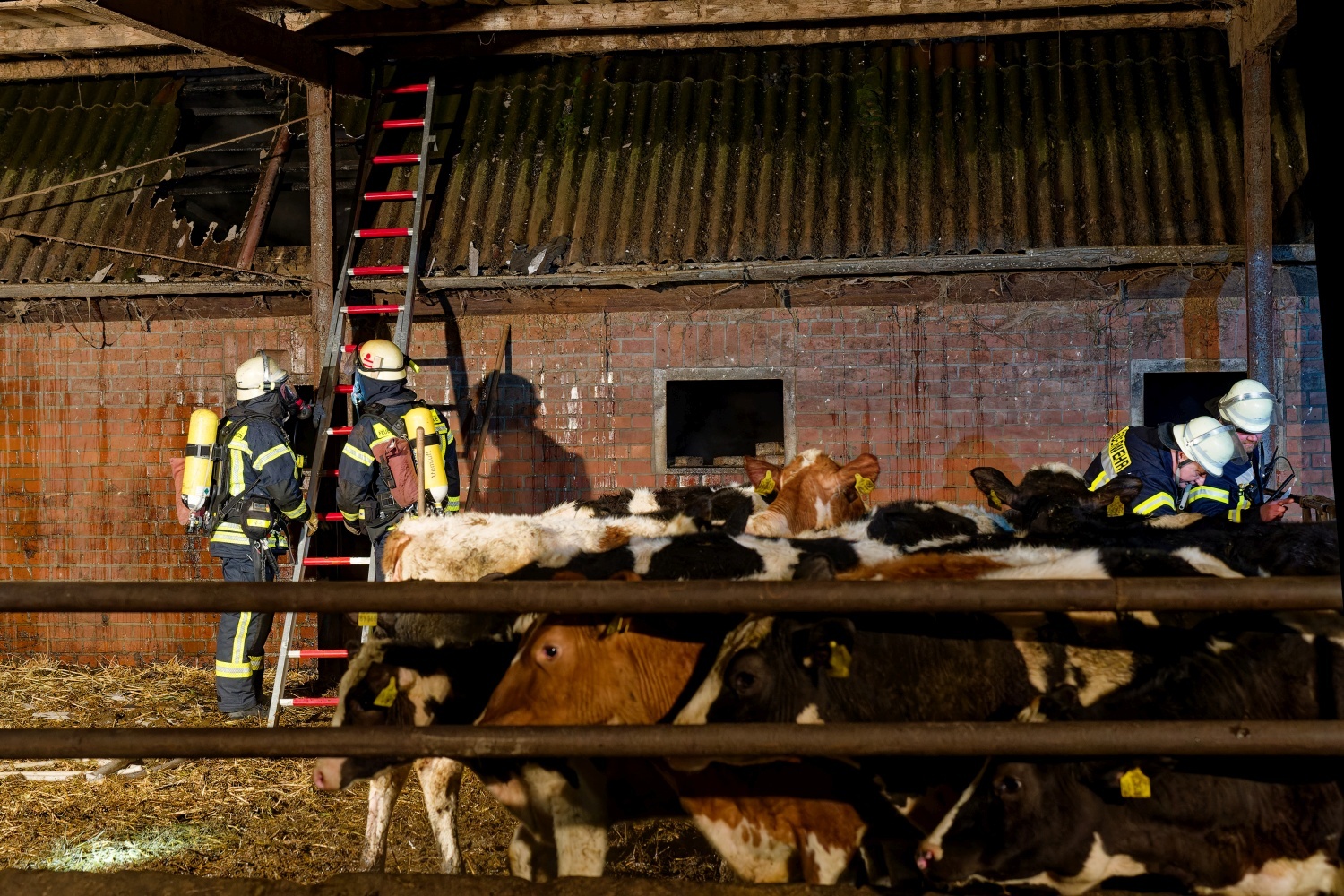 Feuerwehrleute beim Brand in einem Rinderstall in Bleckede bei Lüneburg.