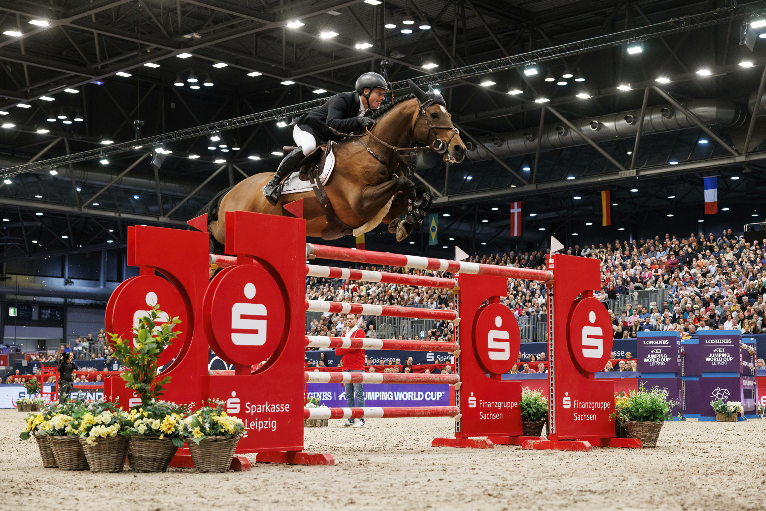 Ein Pferd springt über ein Hindernis in der Halle