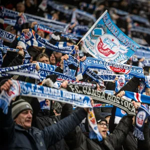 Fanschals von Hansa Rostock