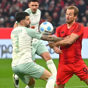 Anthony Jung springt der Ball im Zweikampf mit Harry Kane an den Arm - Elfmeter für Bayern München!
