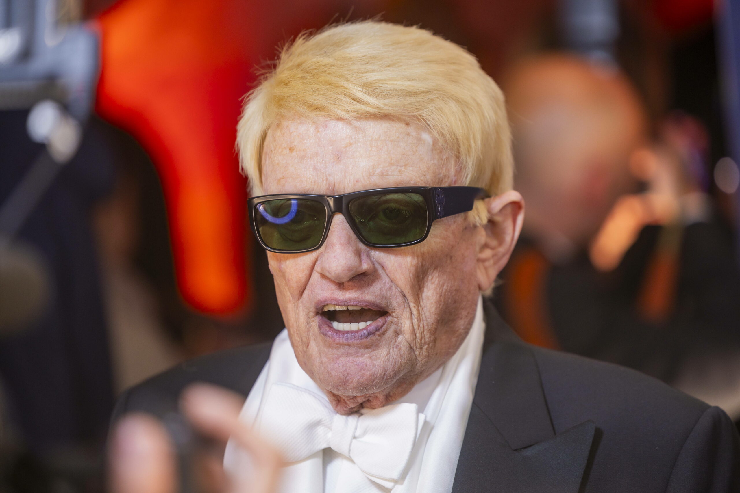 Der Sänger Heino