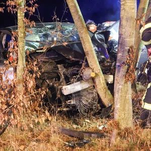 Von der Straße abgekommen und in Baumgruppe gekracht – ein schwer Verletzter bei Unfall in Wrist
